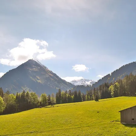 Bergreich 5 Schoppernau