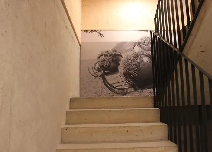 Bergreich 5 * Schoppernau