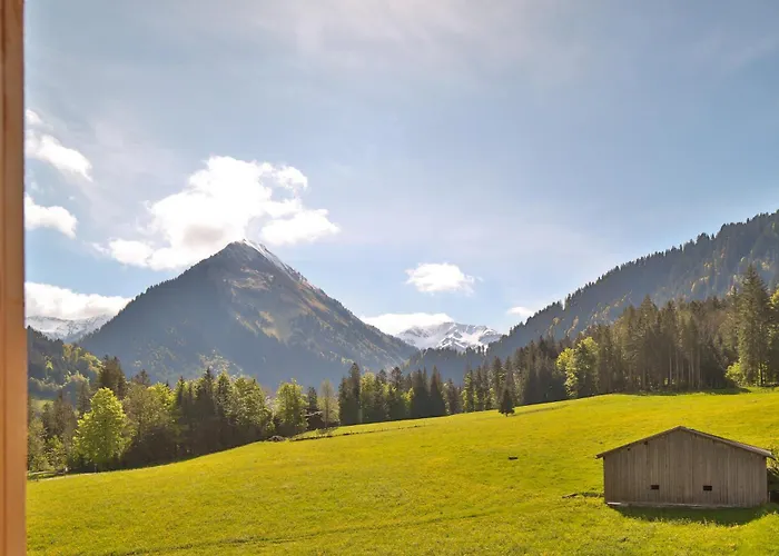 Bergreich 5 Schoppernau