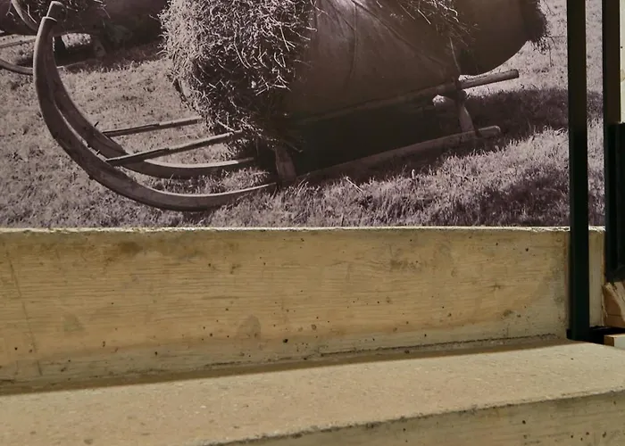 Bergreich 5 Apartment Schoppernau